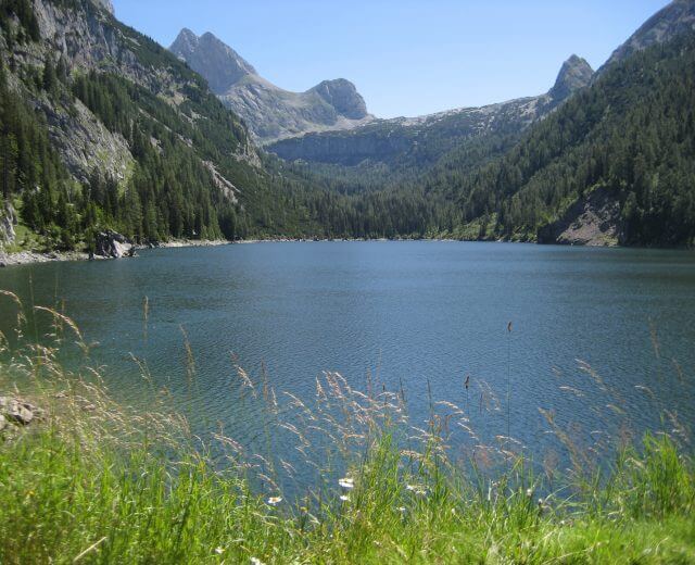 Diessbachstausee-c-Naturpar Bergsee - im Hintergrund Berge, im Vordergrund Gräser