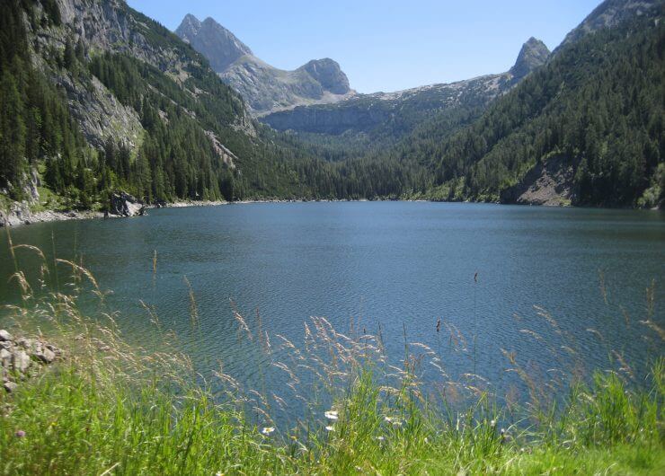 Bergsee - im Hintergrund Berge, im Vordergrund Gräser