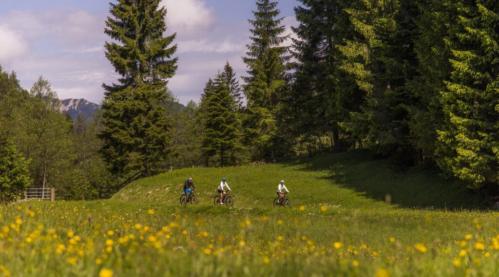 drei E-Biker auf einem Wiesenweg