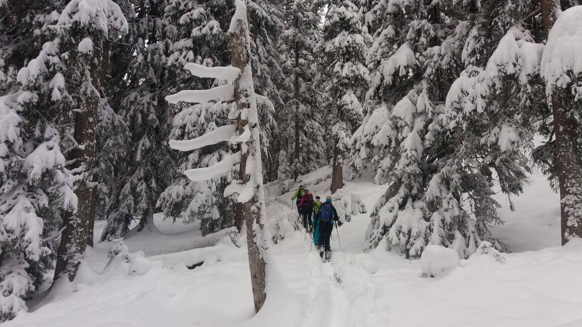 Raurisertal Skitour im Wald