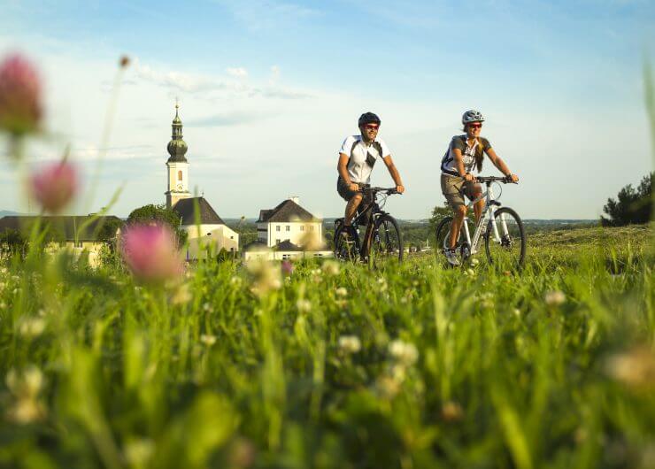 Tauern- Mozart-und Salzkammergut-Radweg_bei_Bergheim(c)SalzburgerLand_Tourismus-Markus Greber
