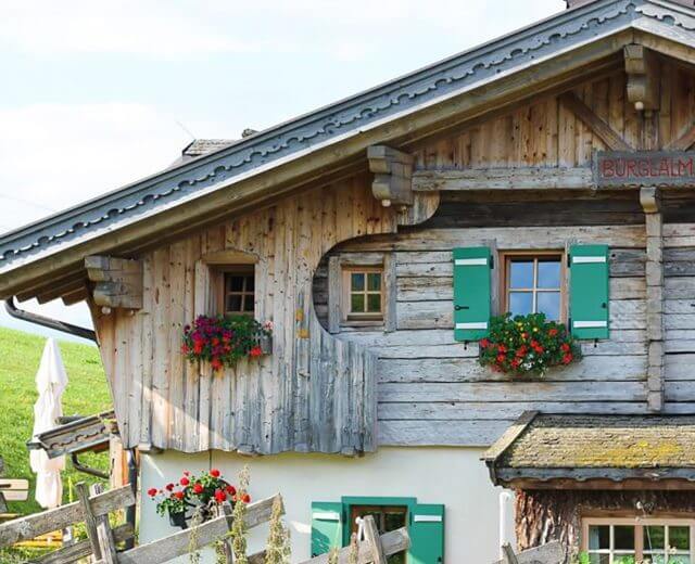 Entdecker-Ginger-in-the-Basement Bürglalm