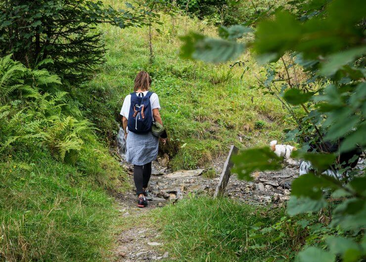 Wanderweg zur Amoseralm