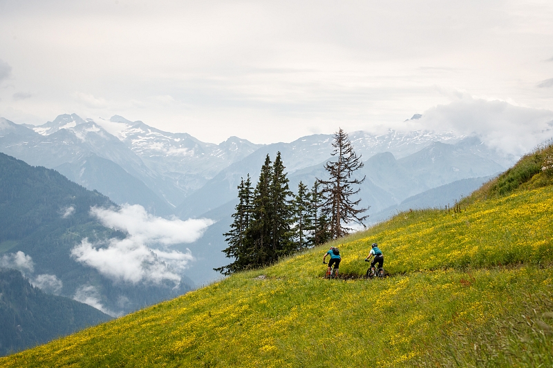 Zwei Radfahrer fahren durch eine grasbewachsene, blumengeschmückte Großarltaler Hügellandschaft mit Bergen und Bäumen im Hintergrund.