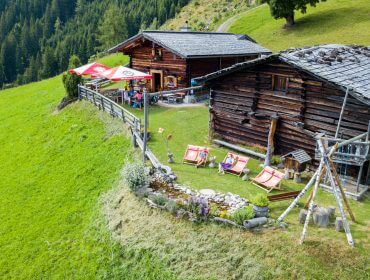 Almsommerhütte auf Wiese am Hochköng
