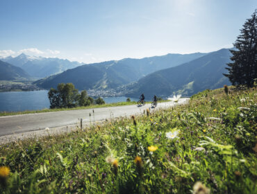 Fahrradtour auf den Mitterberg II – Bike ride to Mitterberg II (c) Zell am See-Kaprun Tourismus Zwei Radfahrer fahren auf einer Bergstraße in Zell am See-Kaprun, mit Wildblumen, einem See und Bergen im Hintergrund.
