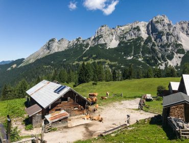 Idyllisch gelegene Almsommerhütte vor Bergmassiv
