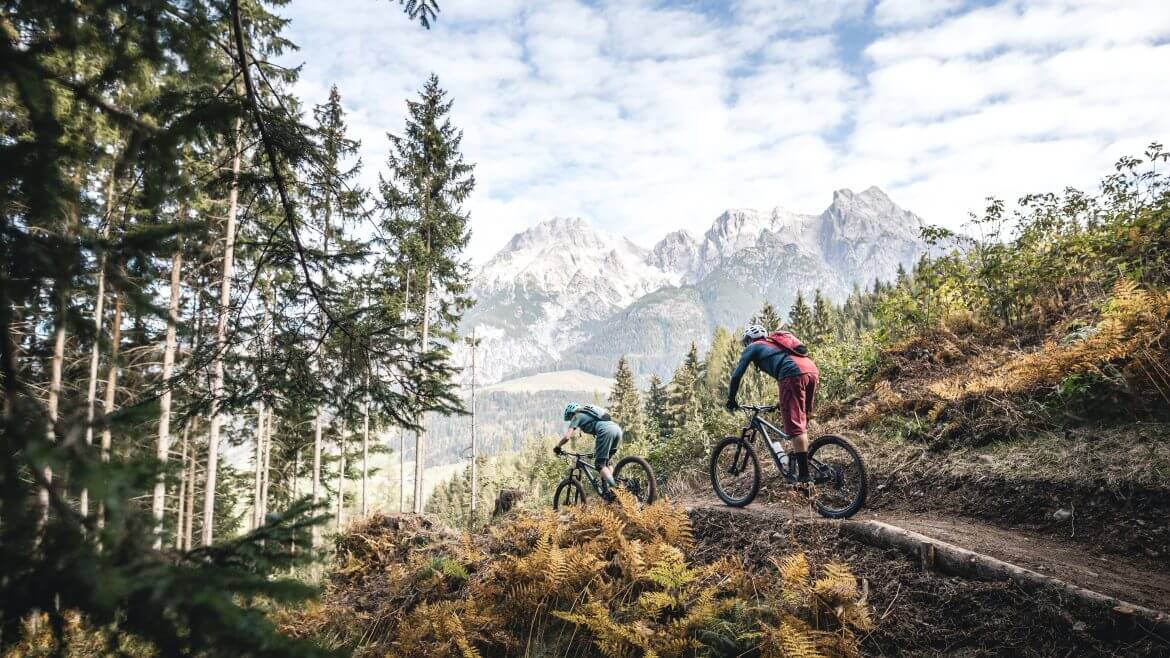 Neuer Trail Richtung Schwarzleobach ©Saalfelden Leogang M Ablinger - Schwarzleotrail in Leogang