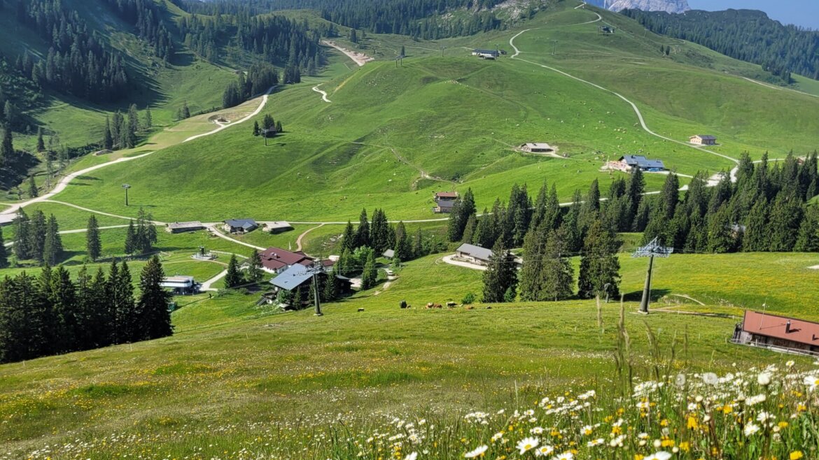 Wildblumen auf einer grünen Bergwiese, kleine Häuser, kurvenreiche Straßen und hohe Gipfel unter blauem Himmel. (vergrößerte Ansicht)