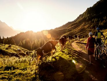 Biken in Saalfelden Leogang