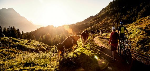 Biken in Saalfelden Leogang