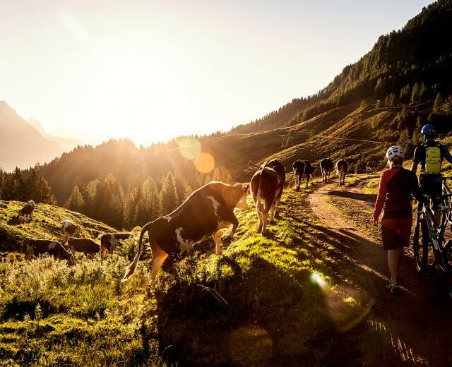 © Saalfelden Leogang Touristik Fotograf: Klemens König Biken in Saalfelden Leogang