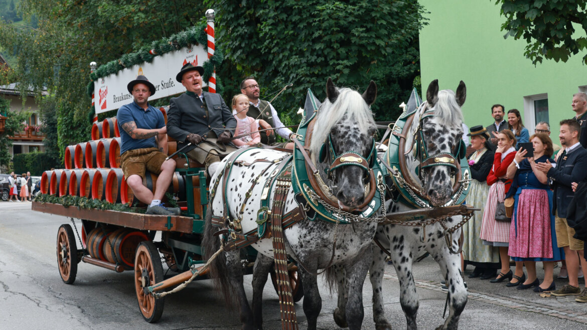 Zwei gefleckte Pferde ziehen einen festlichen Wagen mit Menschen und roten Fässern in einer Parade, die von Menschen in traditioneller Kleidung beobachtet wird. (vergrößerte Ansicht)