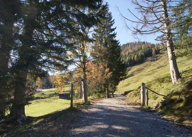 Lammertal