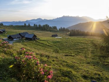 Altenmarkt-Zauchensee, Lackenkogel, Lackenalm, Berggasthof Sattelberger, 10weeks10peaks, Mountaincart