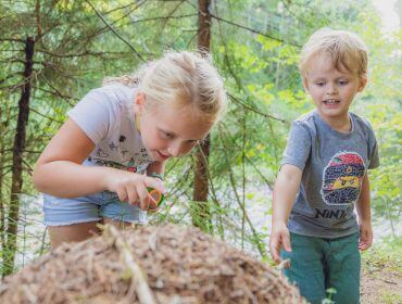 Zwei kleine Kinder beobachten im Walderlebnis Saalachtal einen großen Ameisenhaufen, eines davon mit einer Lupe.