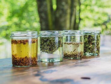 Vier Glasgefäße mit Kräutern, die in Wasser ziehen, fangen die Atmosphäre des Walderlebnis Saalachtal im Freien ein.