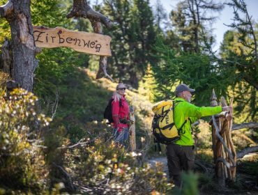 Zirbenweg-1 Zwei Wanderer auf dem malerischen Zirbenweg, umgeben von üppigem Grün und hoch aufragenden Bäumen.