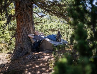 Person, die sich auf einer Holzbank unter einem großen Baum am malerischen Zirbenweg ausruht, Rucksack in der Nähe.