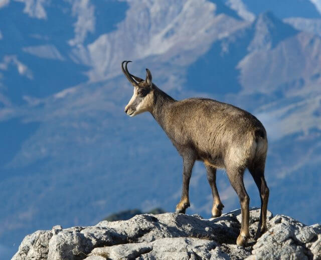 ©Respektiere_Deine_Grenzen