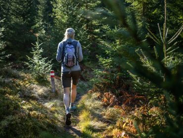 Eine Person mit Rucksack wandert auf einem schmalen Waldweg und genießt das Sonnenlicht und die Waldtherapie unter grünen Bäumen.