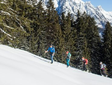 Vier Personen fahren bergauf durch einen verschneiten Wald mit hohen Kiefern und Bergen im Hintergrund unter einem klaren Himmel.