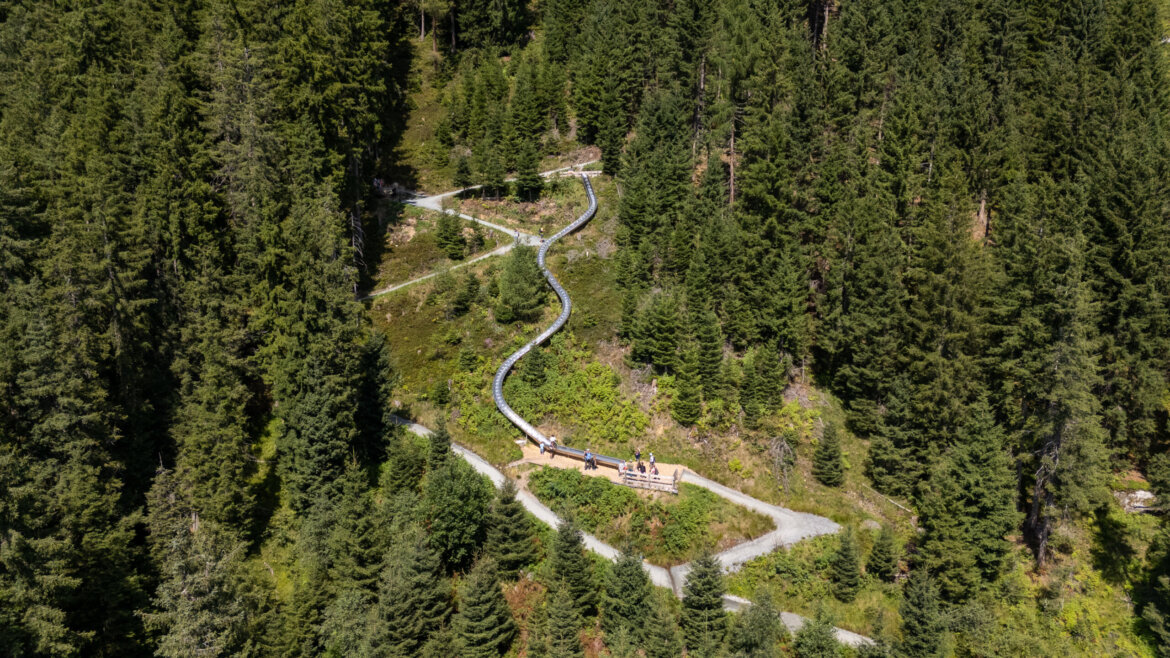 Ein verschlungener Weg durch dichten Wald führt zu einem Aussichtspunkt am Wildkogel, wo sich Menschen am Weg versammeln. (vergrößerte Ansicht)