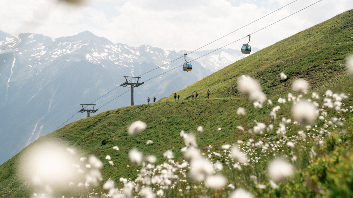 Peter Maier, Peter Maier Skilifte und Wanderer auf den Grashängen des Wildkogels mit Wildblumen und schneebedeckten Gipfeln im Hintergrund. (vergrößerte Ansicht)