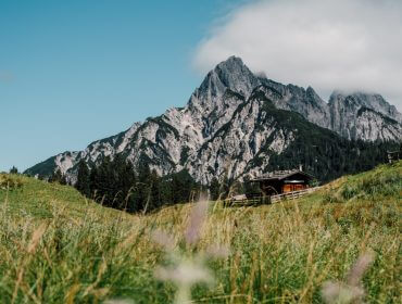 Hütte auf einer grasbewachsenen Wiese mit hohen Bergen und Wäldern unter einem blauen Himmel mit einigen Wolken.