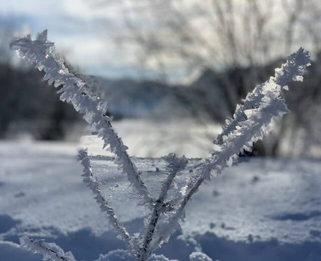 Schneeimpressionen