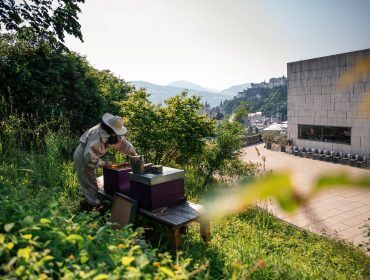 Stadtimkerin Karoline bei den Museumsbienen
