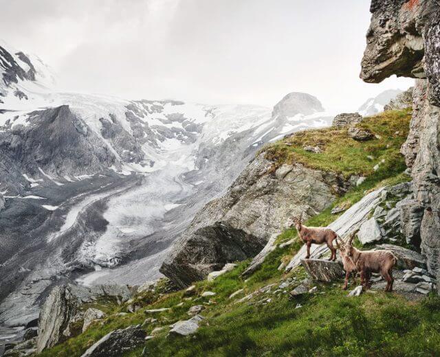 Großglockner Hochalpenstraße