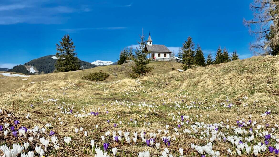 Hirtenkapelle Meiselstein in Goldeggweng