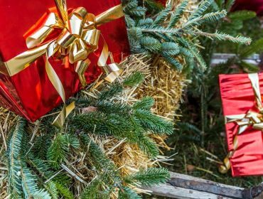 Rote Geschenkschachteln mit goldenen Bändern stehen auf mit Tannenzweigen geschmückten Heuballen im Freien.