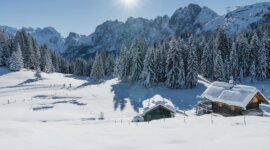 Winterliche Hüttenlandschaft im SalzburgerLand