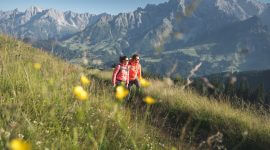 Buchbarer Salzburger Almenweg; Buchbarer Weitwanderweg, Buchbares Weitwandererlebnis