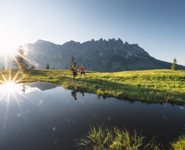 Salzburger Almenweg, Buchbarer Salzburger Almenweg; Buchbarer Weitwanderweg, Buchbares Weitwandererlebnis