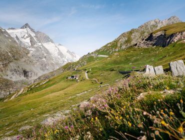 Alpenlandschaft mit Wildblumen, grünen Hügeln, einem gewundenen Pfad und schneebedeckten Bergen unter blauem Himmel.