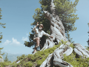 vlcsnap-2022-09-26-10h19m25s598 Zirbenjahre