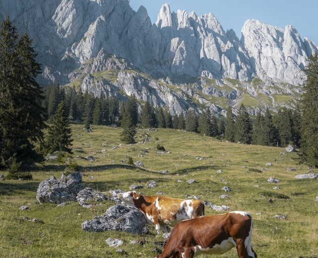 Riedingalm am Hochkönig