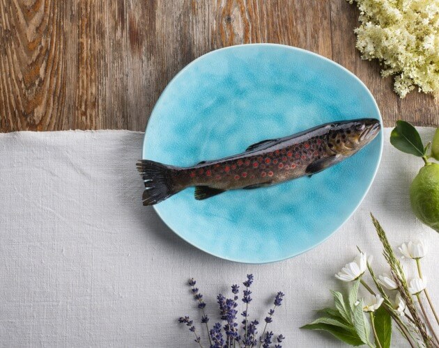 fisch