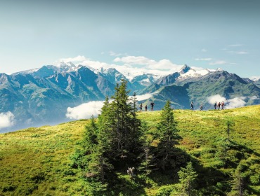 Eine Gruppe von Wanderern wandert auf einem grünen Hügel mit verschneiten Bergen und blauem Himmel im Hintergrund.