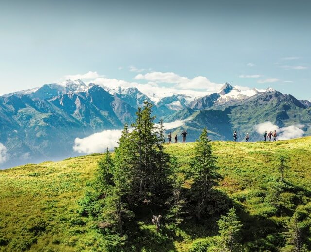 Wanderung_Trail_Hochsonnberg_Piesendorf Eine Gruppe von Wanderern wandert auf einem grünen Hügel mit verschneiten Bergen und blauem Himmel im Hintergrund.