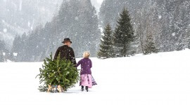 RS94_gastein-11a Ein Mann und ein Mädchen ziehen einen Weihnachtsbaum auf einem Schlitten durch eine verschneite Landschaft, umgeben von Tannenbäumen.