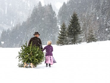 RS94_gastein-11a Ein Mann und ein Mädchen ziehen einen Weihnachtsbaum auf einem Schlitten durch eine verschneite Landschaft, umgeben von Tannenbäumen.