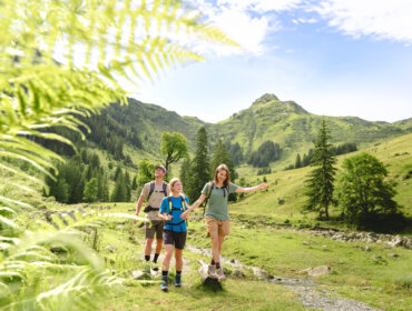 Hoch die Alm (c)Karin Pasterer