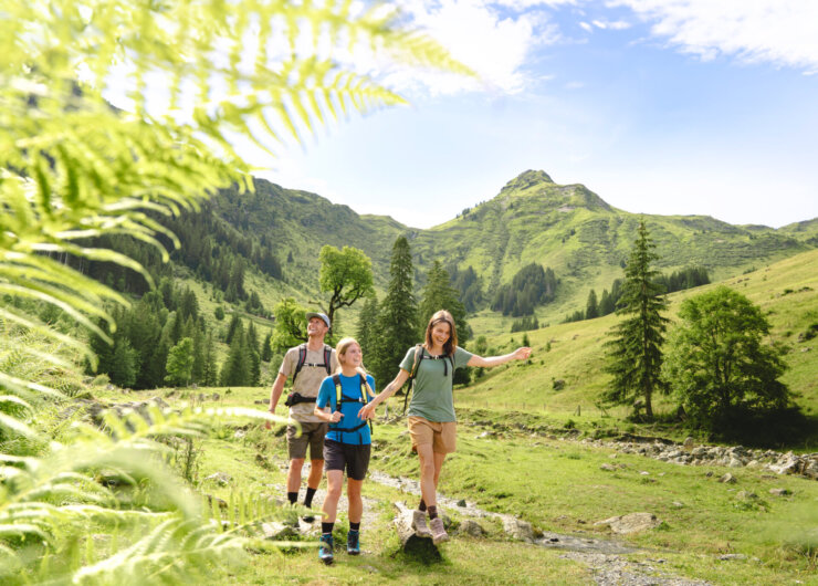 Hoch die Alm (c)Karin Pasterer