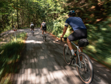 roastmedia_SLTG-Graveltour_120 Drei Radfahrer auf Gravel-Bikes fahren schnell über eine sonnenbeschienene, von Bäumen gesäumte Straße in einem üppigen Wald.