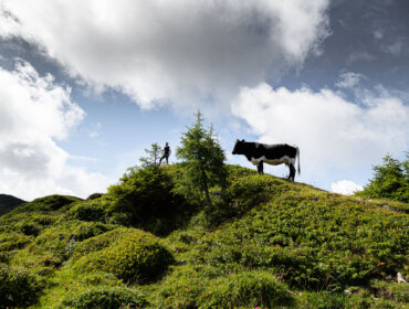 Eine Kuh und ein Mensch stehen auf einem Grashügel unter einem teilweise bewölkten Himmel mit vereinzelten Bäumen.