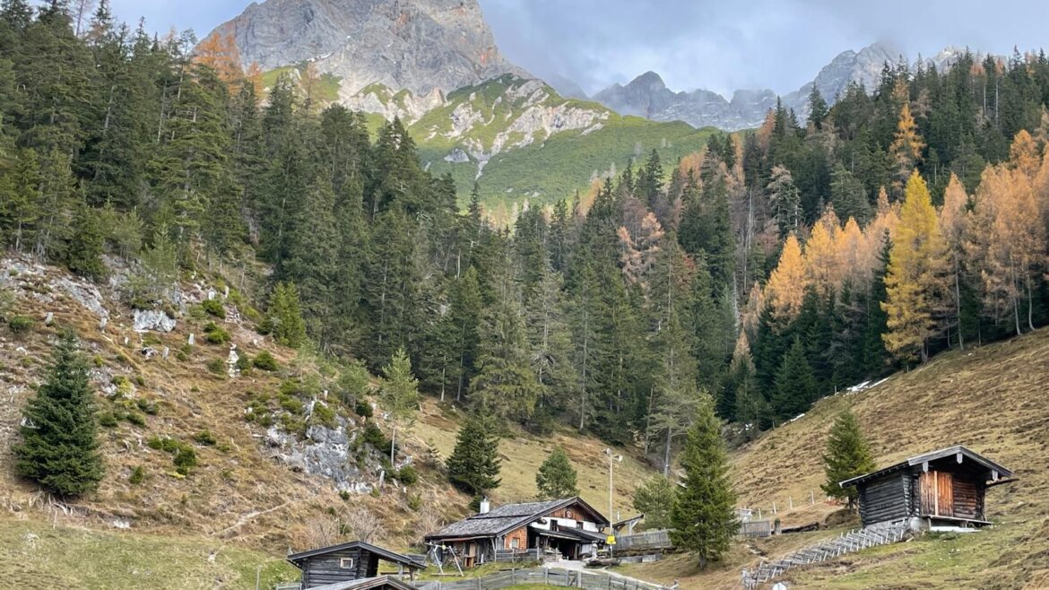 Steinalm